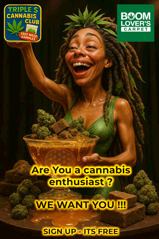 Triple S Canna Club - Slide 2