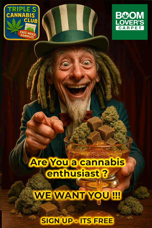 Triple S Canna Club - Slide 6